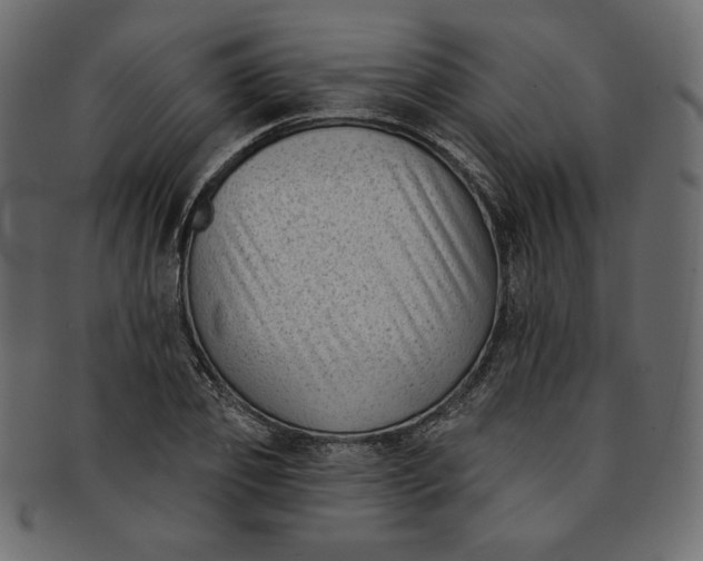 X0000091850933200709261204