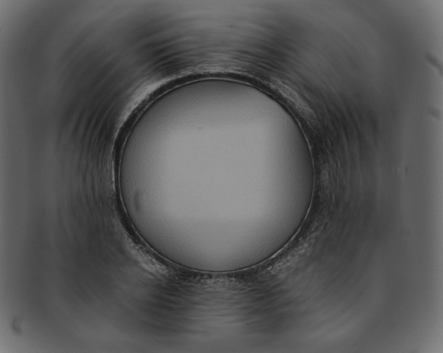 X0000091850934200709261204