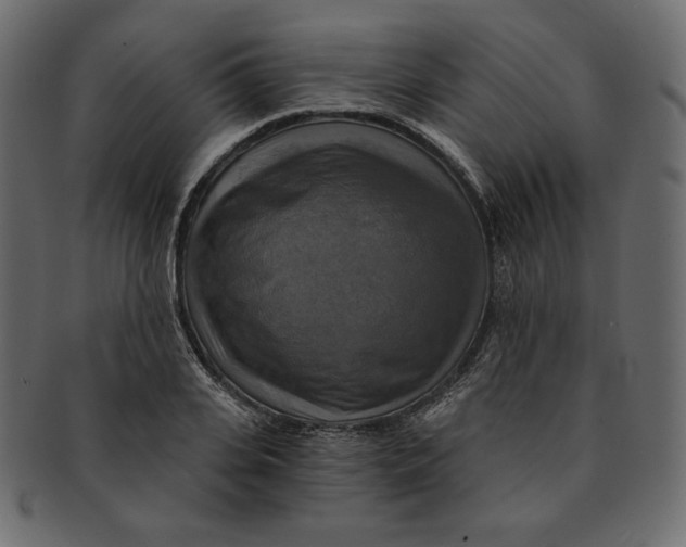 X0000091850935200709261204