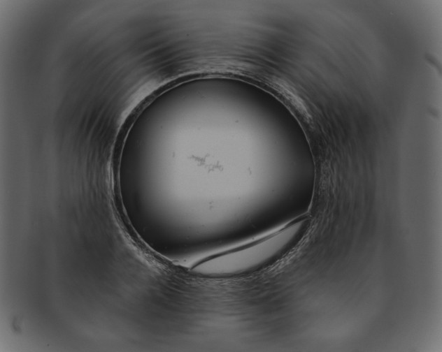 X0000091850936200709261204