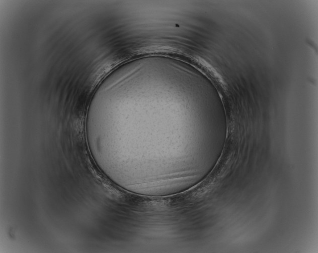 X0000091850937200709261204