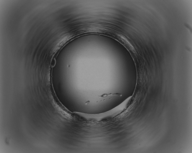 X0000091850938200709261204