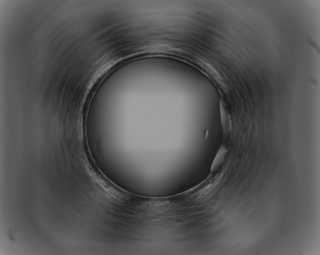 X0000091850939200709261204