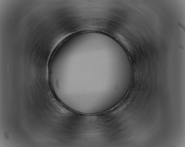 X0000091850940200709261204