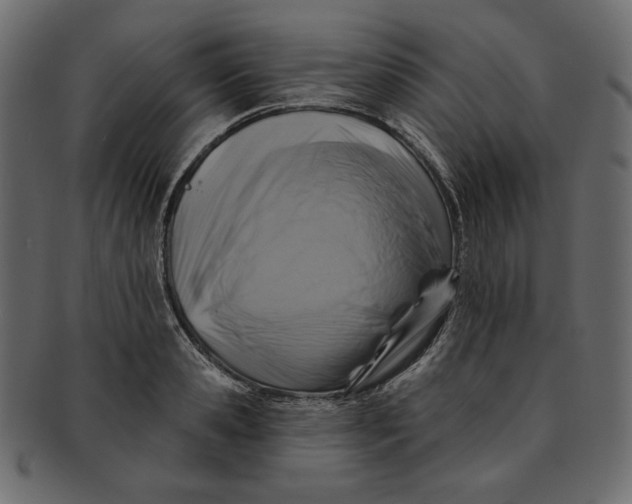 X0000091850941200709261204