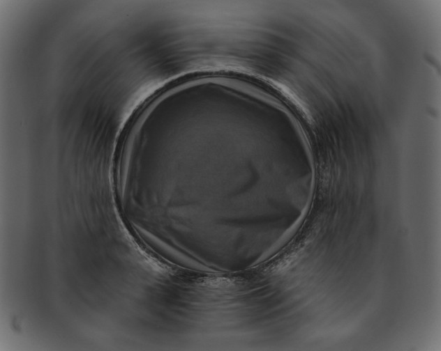 X0000091850943200709261204