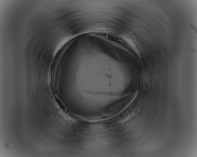 X0000091850944200709261204