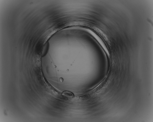 X0000091850945200709261204