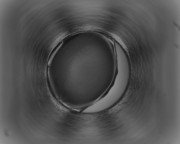 X0000091850946200709261204