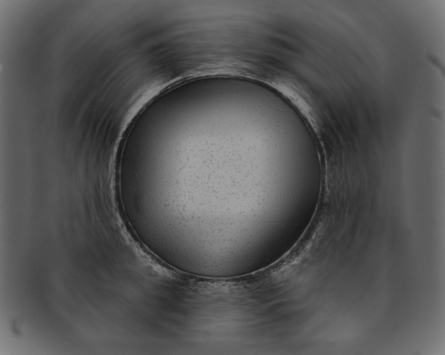 X0000091850949200709261204