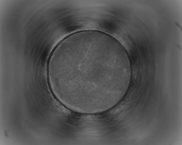 X0000091850950200709261204