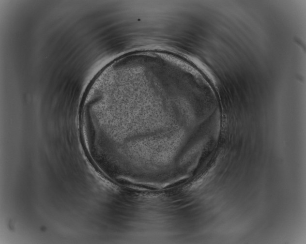 X0000091850951200709261204