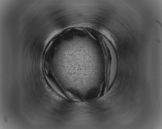 X0000091850952200709261204