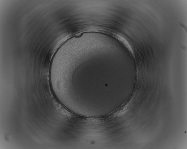 X0000091850954200709261204