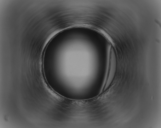 X0000091850955200709261204