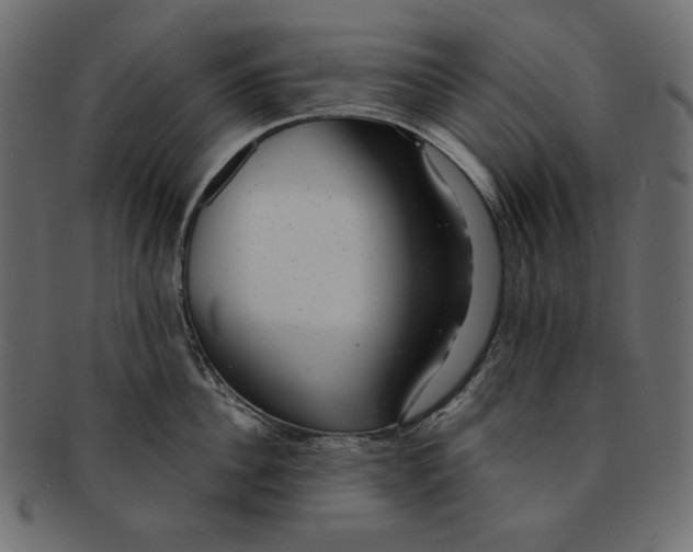 X0000091850956200709261204