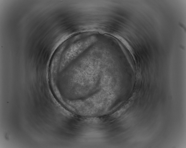 X0000091850957200709261204