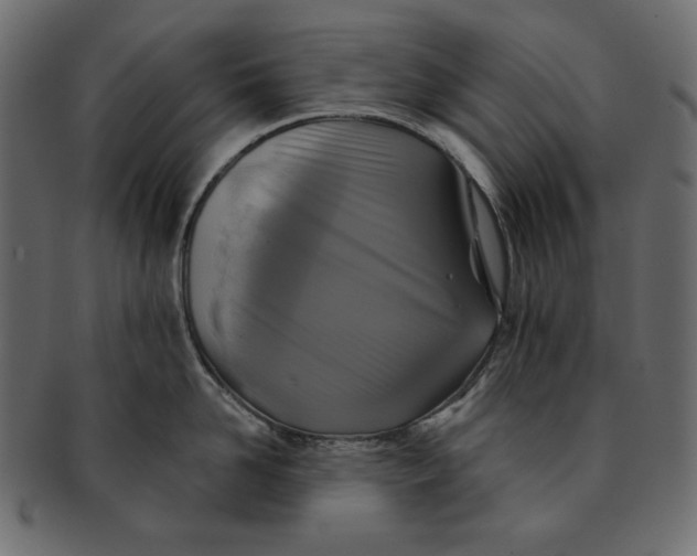 X0000091850958200709261204