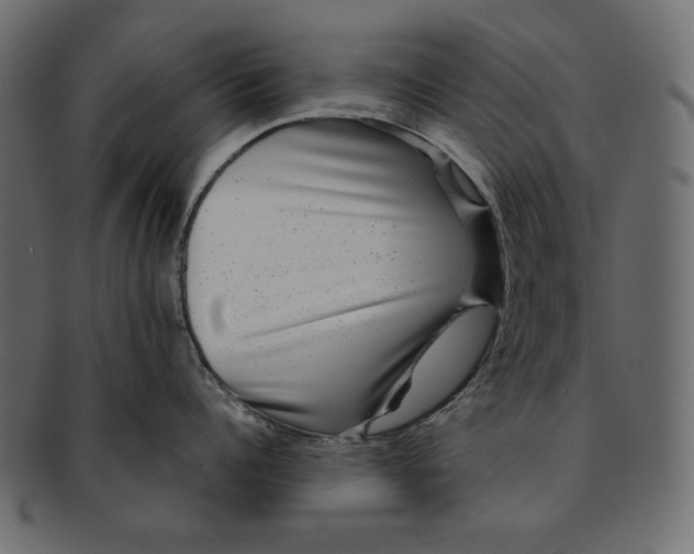 X0000091850960200709261204