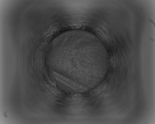 X0000091850961200709261204