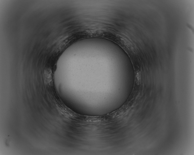 X0000091850963200709261204