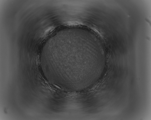 X0000091850965200709261204