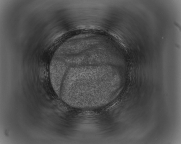 X0000091850966200709261204