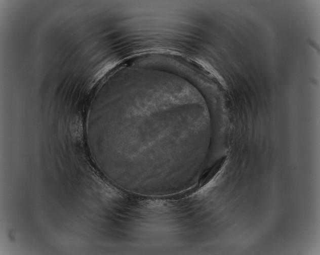 X0000091850969200709261204