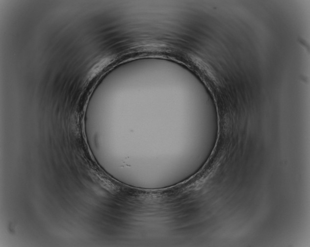 X0000091850970200709261204