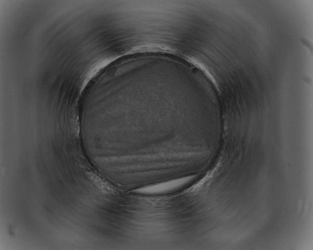 X0000091850973200709261204