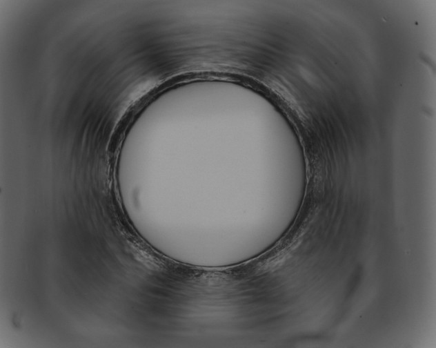 X0000091850974200709261204