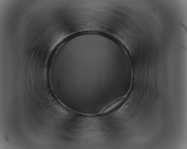 X0000091850975200709261204