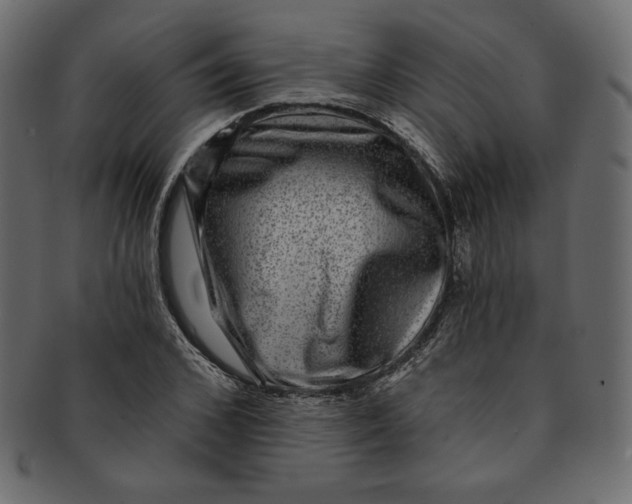 X0000091850976200709261204