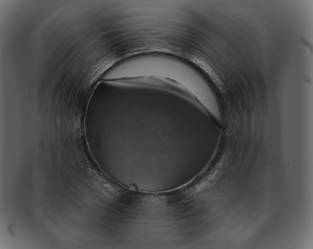 X0000091850977200709261204