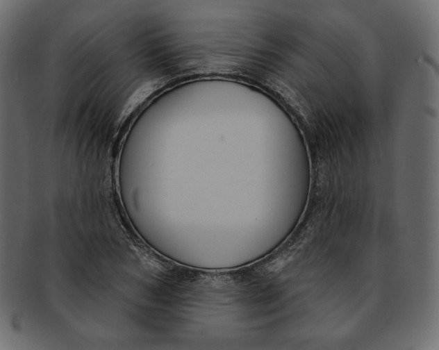 X0000091850978200709261204