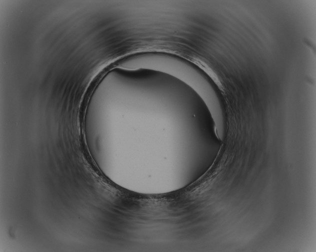 X0000091850980200709261204