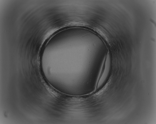 X0000091850981200709261204