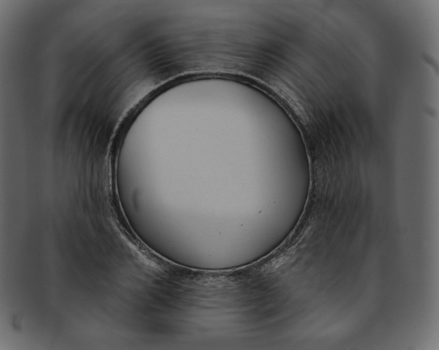 X0000091850982200709261204