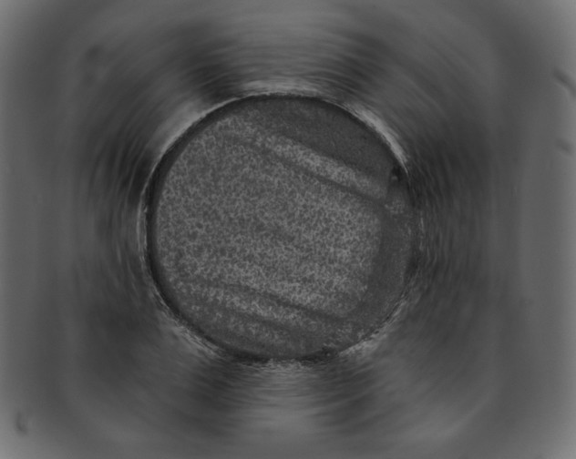 X0000091850983200709261204