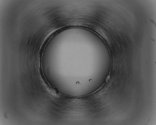 X0000091850984200709261204