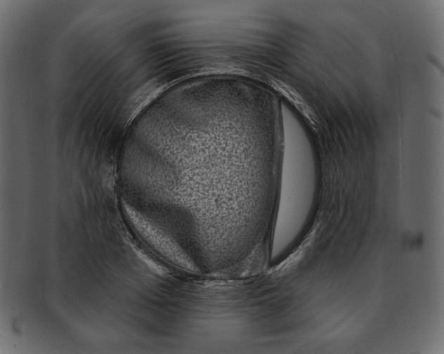 X0000091850985200709261204