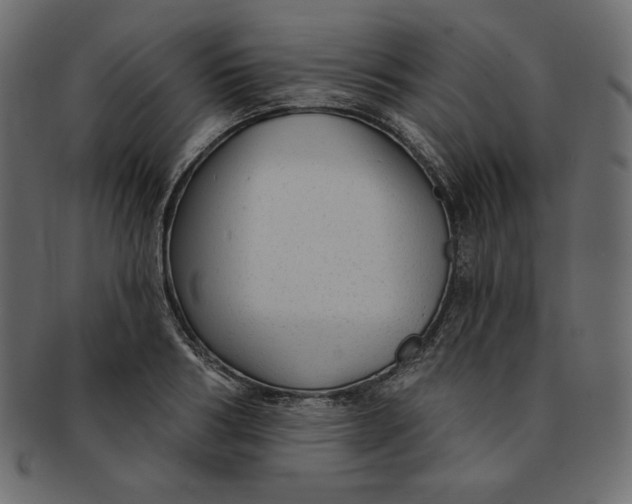 X0000091850986200709261204