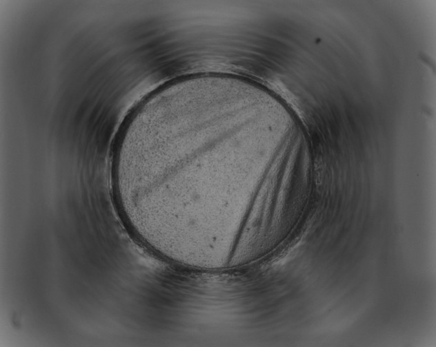 X0000091850987200709261204