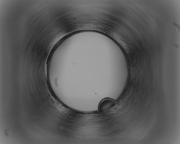 X0000091850988200709261204