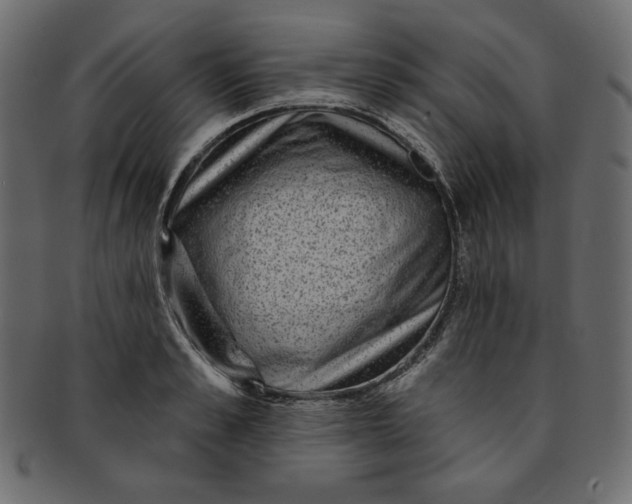 X0000091850989200709261204