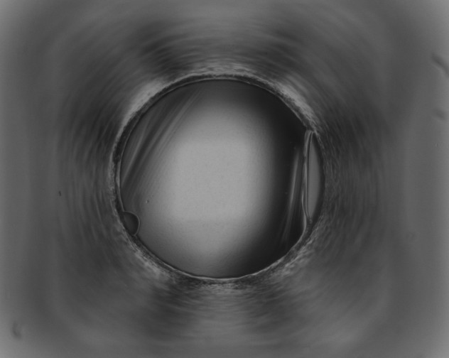 X0000091850990200709261204