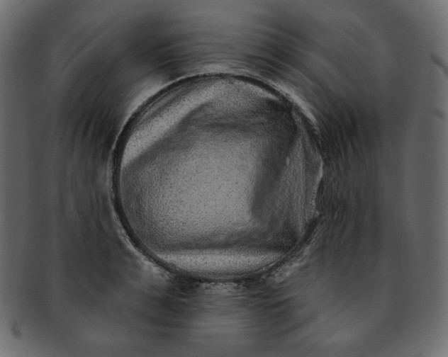 X0000091850991200709261204