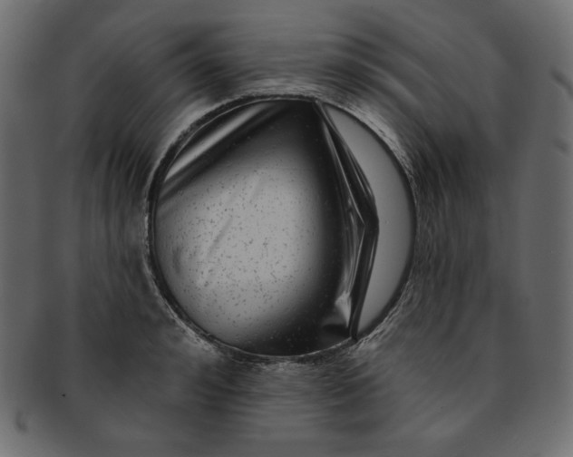 X0000091850992200709261204