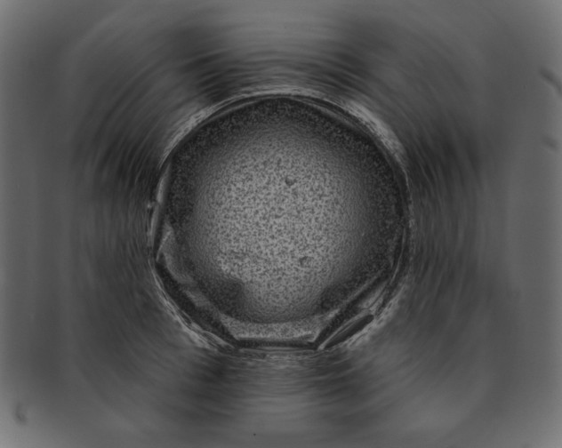 X0000091850993200709261204