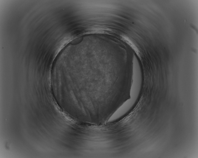 X0000091850994200709261204